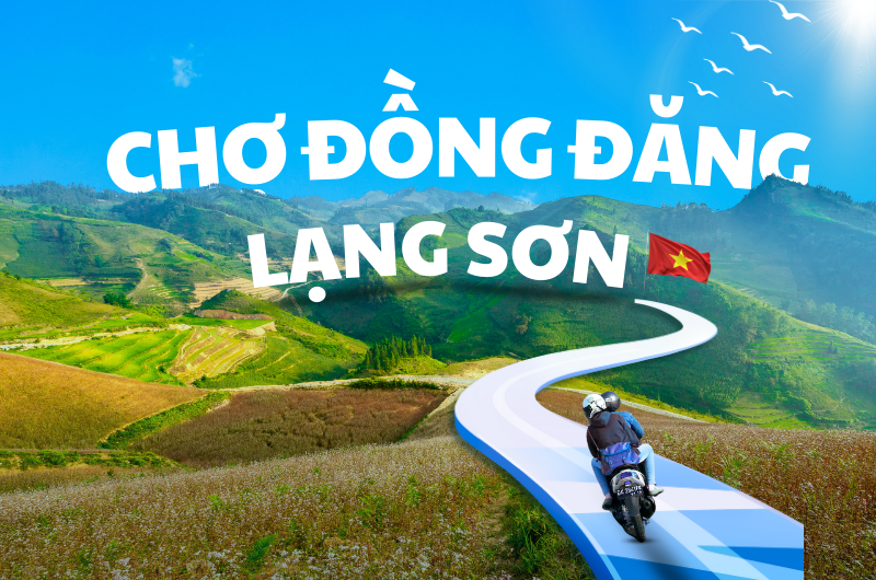kham-pha-cho-dong-dang
